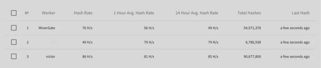 supportxmr mining workers list
